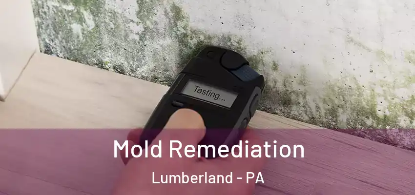 Mold Remediation Lumberland - PA