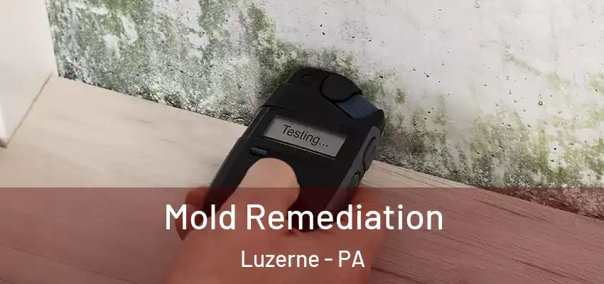  Mold Remediation Luzerne - PA