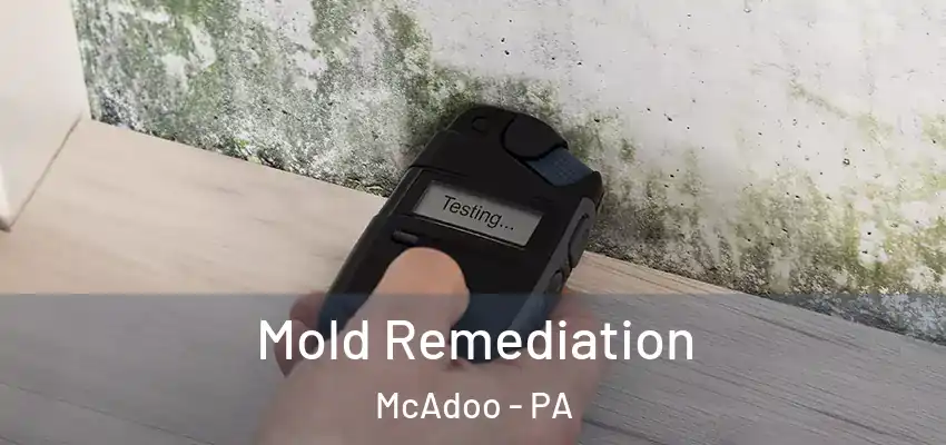  Mold Remediation McAdoo - PA