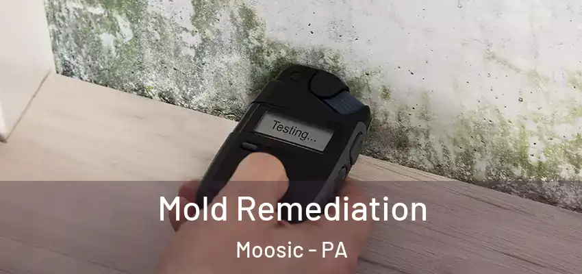 Mold Remediation Moosic - PA