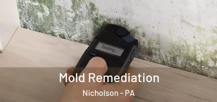 Mold Remediation Nicholson - PA