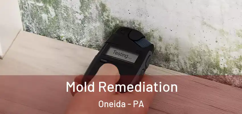 Mold Remediation Oneida - PA