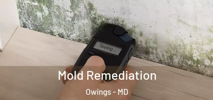 Mold Remediation Owings - MD