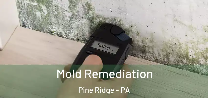 Mold Remediation Pine Ridge - PA