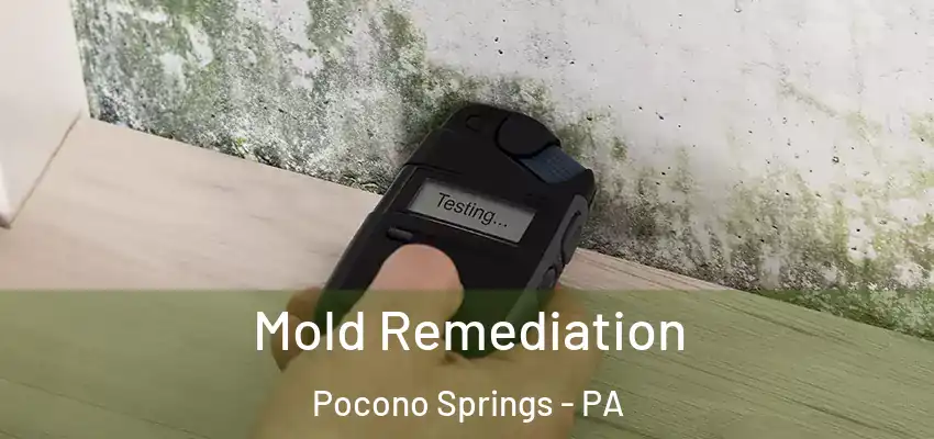 Mold Remediation Pocono Springs - PA