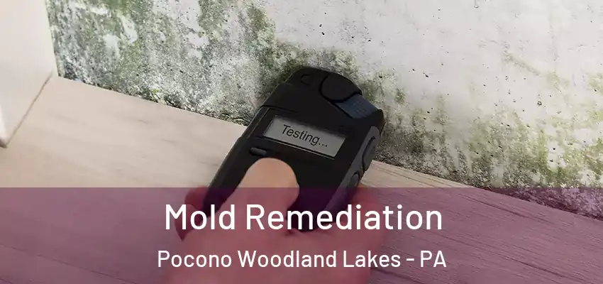 Mold Remediation Pocono Woodland Lakes - PA