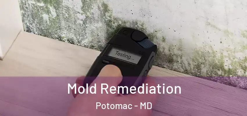 Mold Remediation Potomac - MD