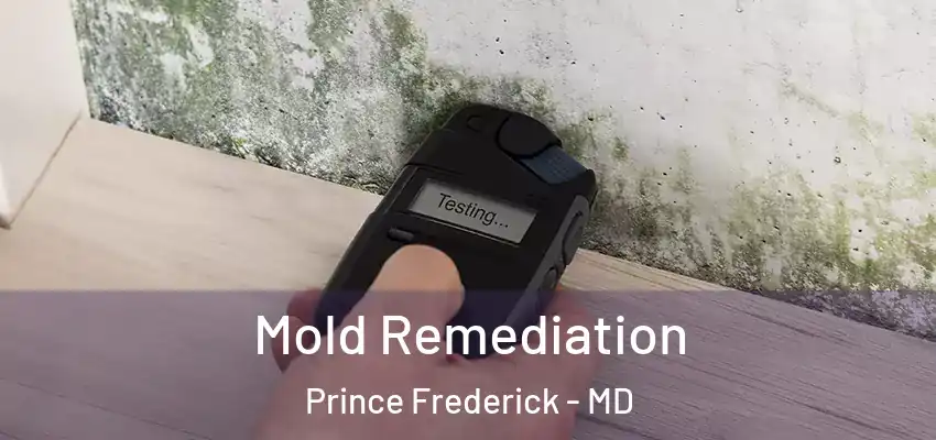 Mold Remediation Prince Frederick - MD