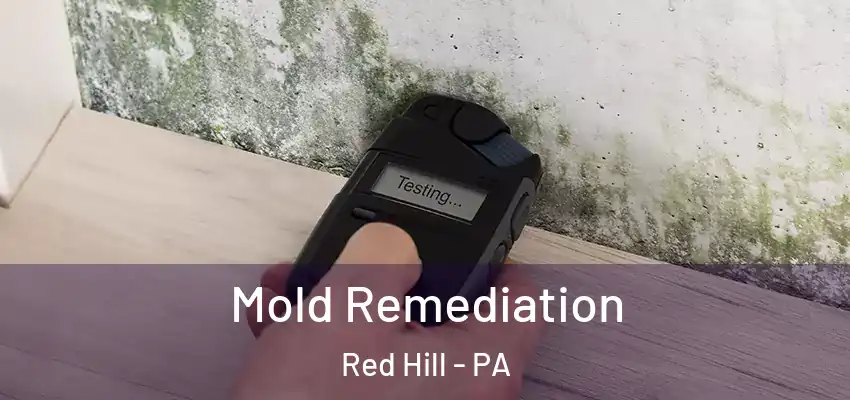  Mold Remediation Red Hill - PA