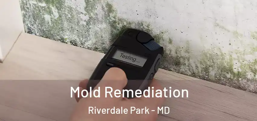  Mold Remediation Riverdale Park - MD