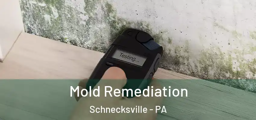 Mold Remediation Schnecksville - PA