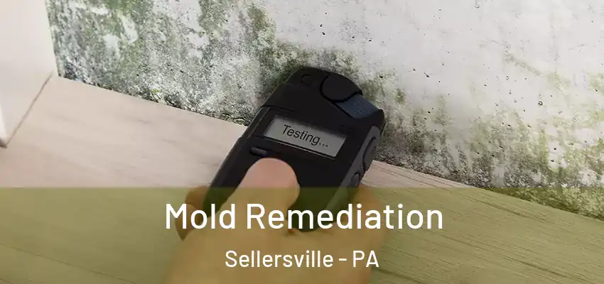 Mold Remediation Sellersville - PA