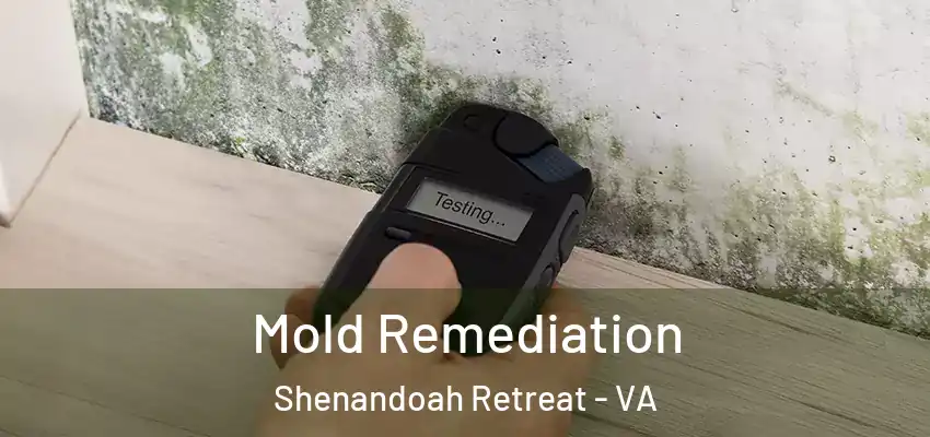  Mold Remediation Shenandoah Retreat - VA