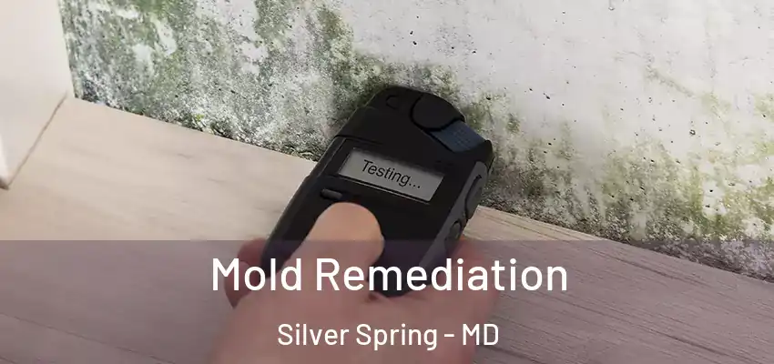 Mold Remediation Silver Spring - MD