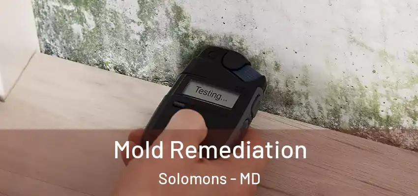 Mold Remediation Solomons - MD