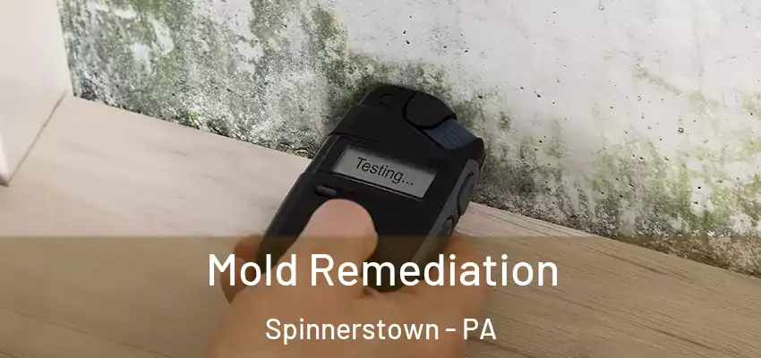  Mold Remediation Spinnerstown - PA