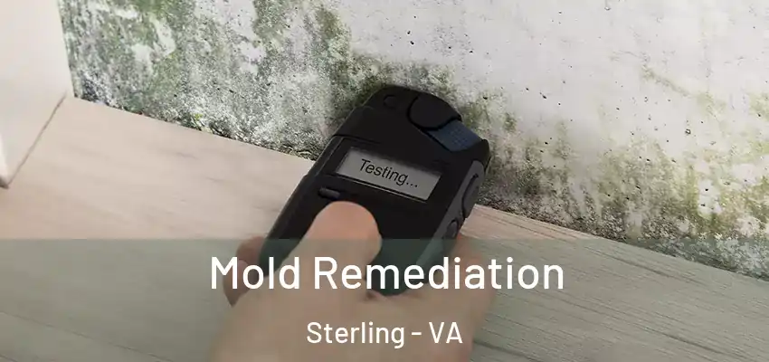 Mold Remediation Sterling - VA