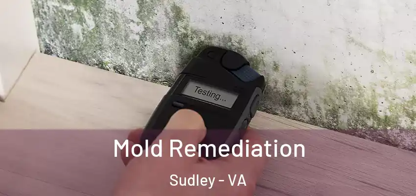 Mold Remediation Sudley - VA