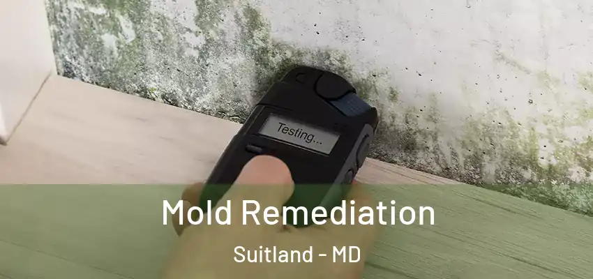 Mold Remediation Suitland - MD