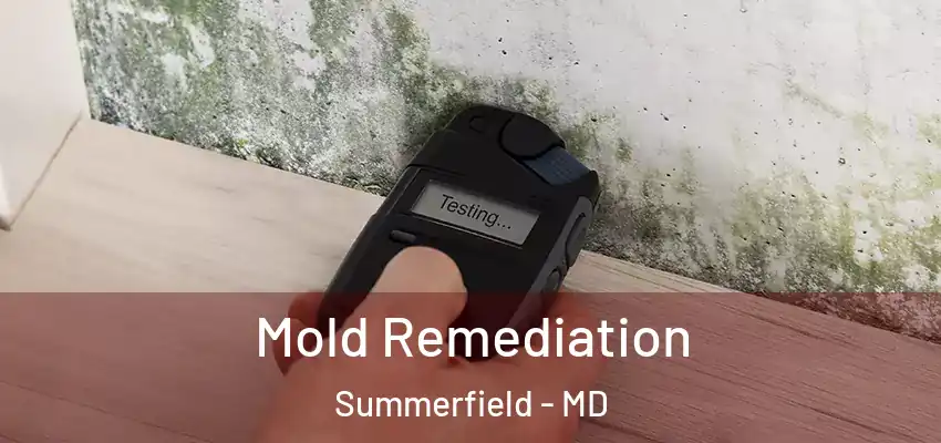 Mold Remediation Summerfield - MD