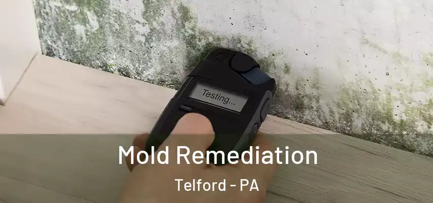 Mold Remediation Telford - PA