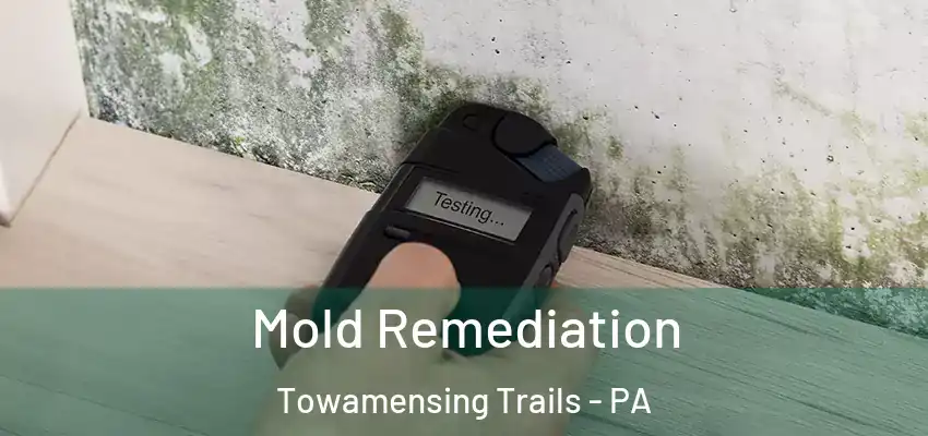 Mold Remediation Towamensing Trails - PA