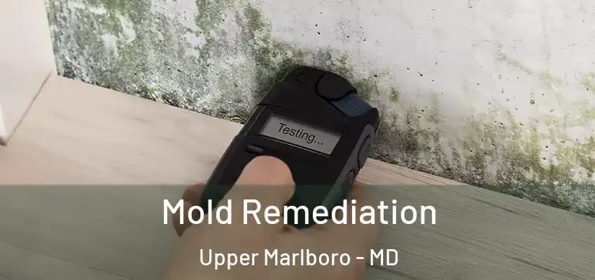  Mold Remediation Upper Marlboro - MD