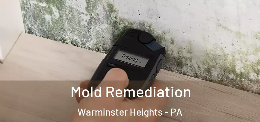 Mold Remediation Warminster Heights - PA