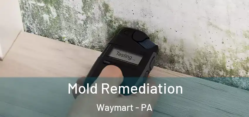  Mold Remediation Waymart - PA