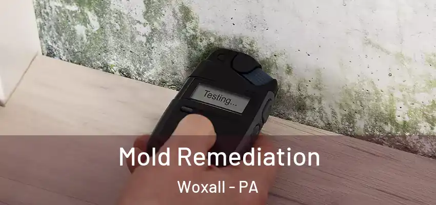 Mold Remediation Woxall - PA
