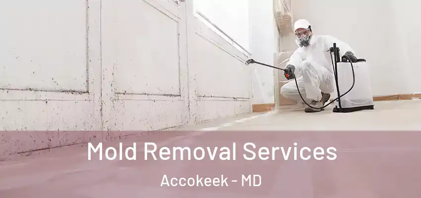 Mold Removal Services Accokeek - MD