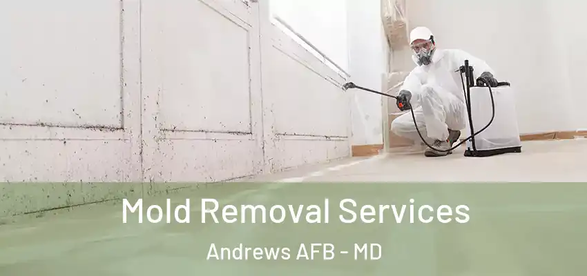 Mold Removal Services Andrews AFB - MD