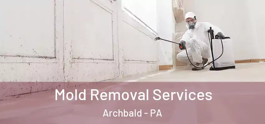 Mold Removal Services Archbald - PA