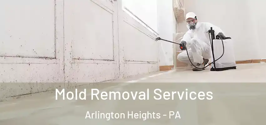  Mold Removal Services Arlington Heights - PA