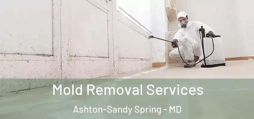 Mold Removal Services Ashton-Sandy Spring - MD
