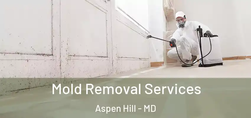 Mold Removal Services Aspen Hill - MD