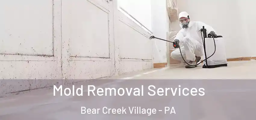  Mold Removal Services Bear Creek Village - PA