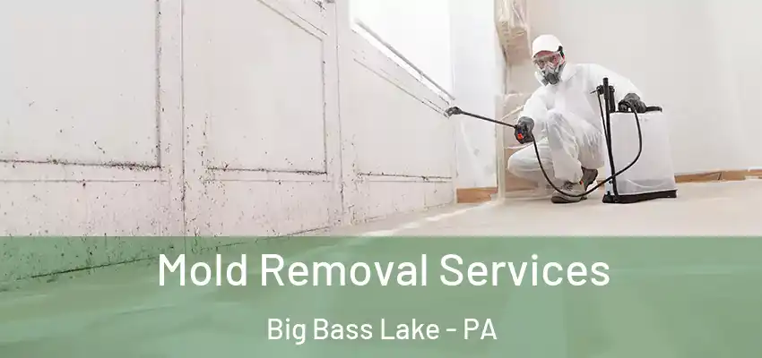Mold Removal Services Big Bass Lake - PA