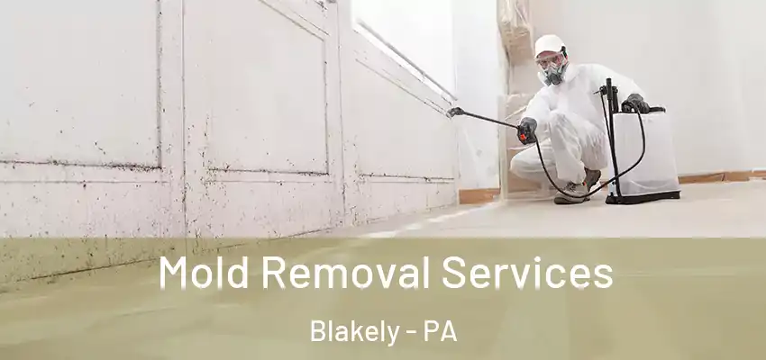 Mold Removal Services Blakely - PA