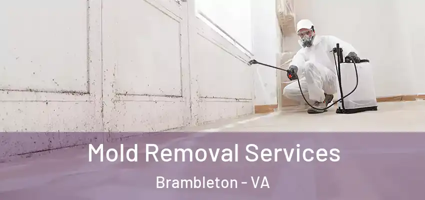 Mold Removal Services Brambleton - VA