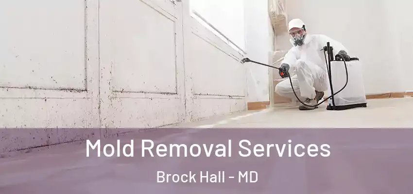  Mold Removal Services Brock Hall - MD