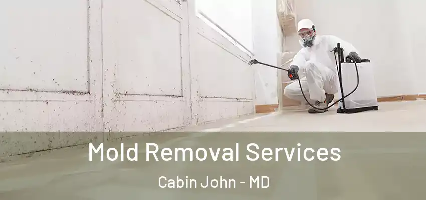 Mold Removal Services Cabin John - MD