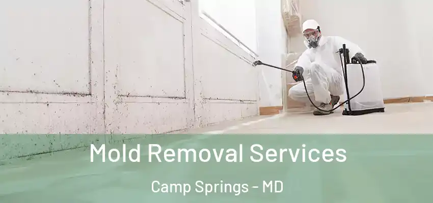  Mold Removal Services Camp Springs - MD