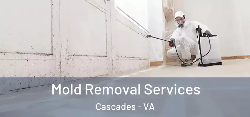 Mold Removal Services Cascades - VA