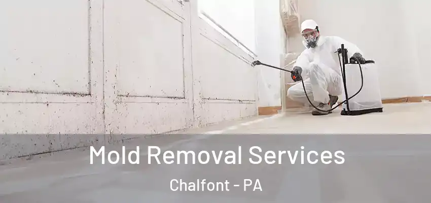 Mold Removal Services Chalfont - PA