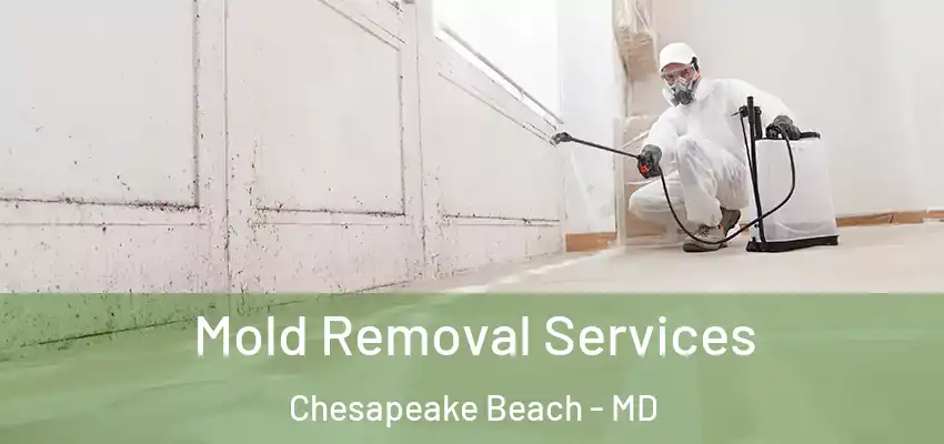 Mold Removal Services Chesapeake Beach - MD