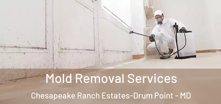  Mold Removal Services Chesapeake Ranch Estates-Drum Point - MD