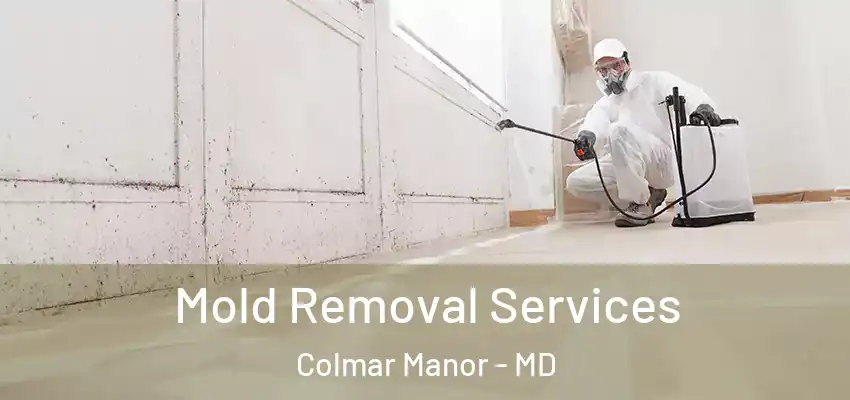 Mold Removal Services Colmar Manor - MD