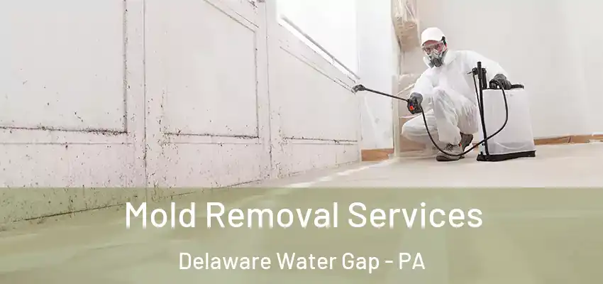 Mold Removal Services Delaware Water Gap - PA