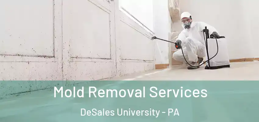 Mold Removal Services DeSales University - PA